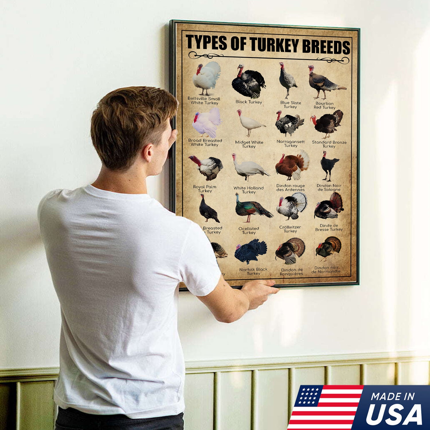 Turkey Breeds Knowlegde Canvas Wall Art – Farmhouse Poultry Guide Print – Rustic Country Decor