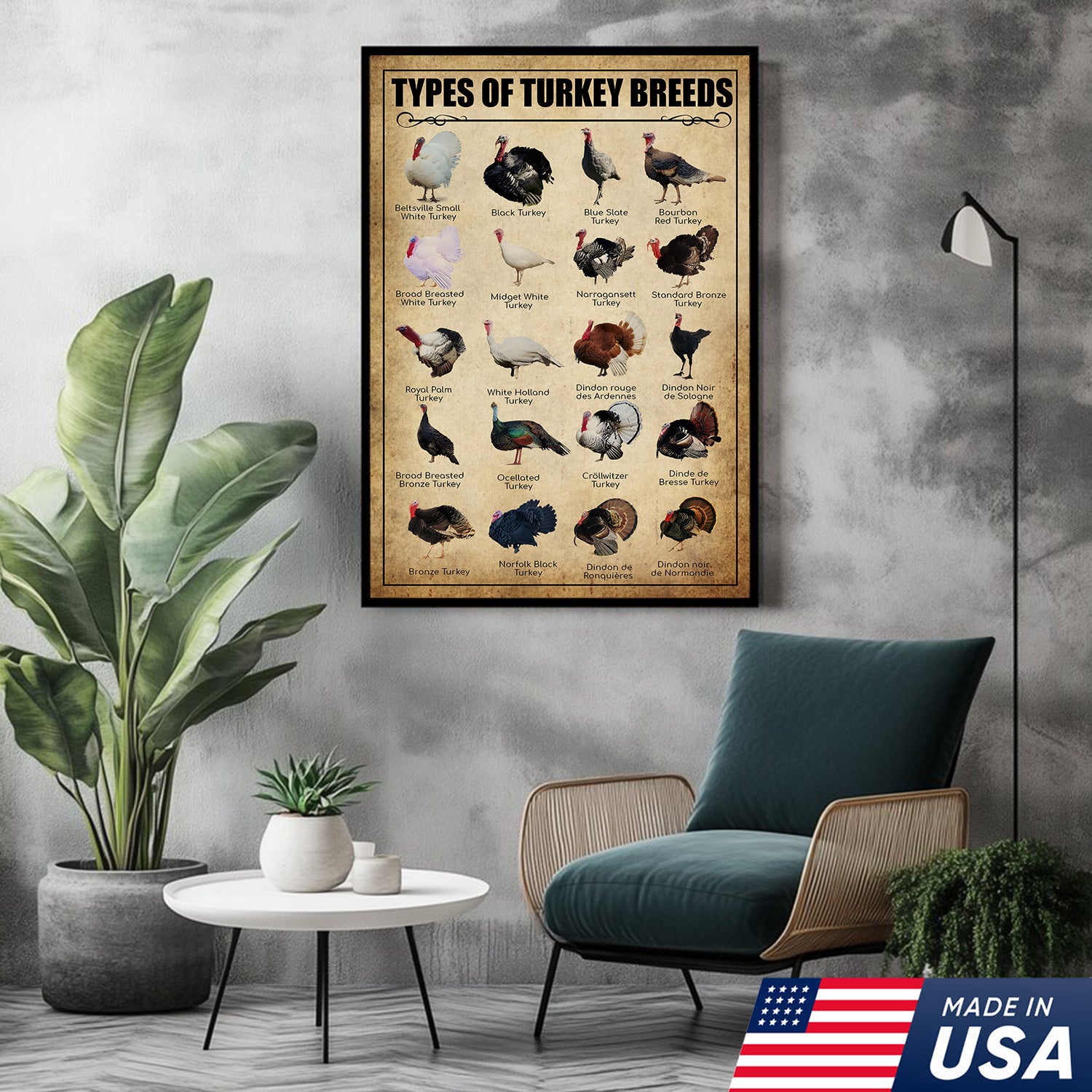 Turkey Breeds Knowlegde Canvas Wall Art – Farmhouse Poultry Guide Print – Rustic Country Decor