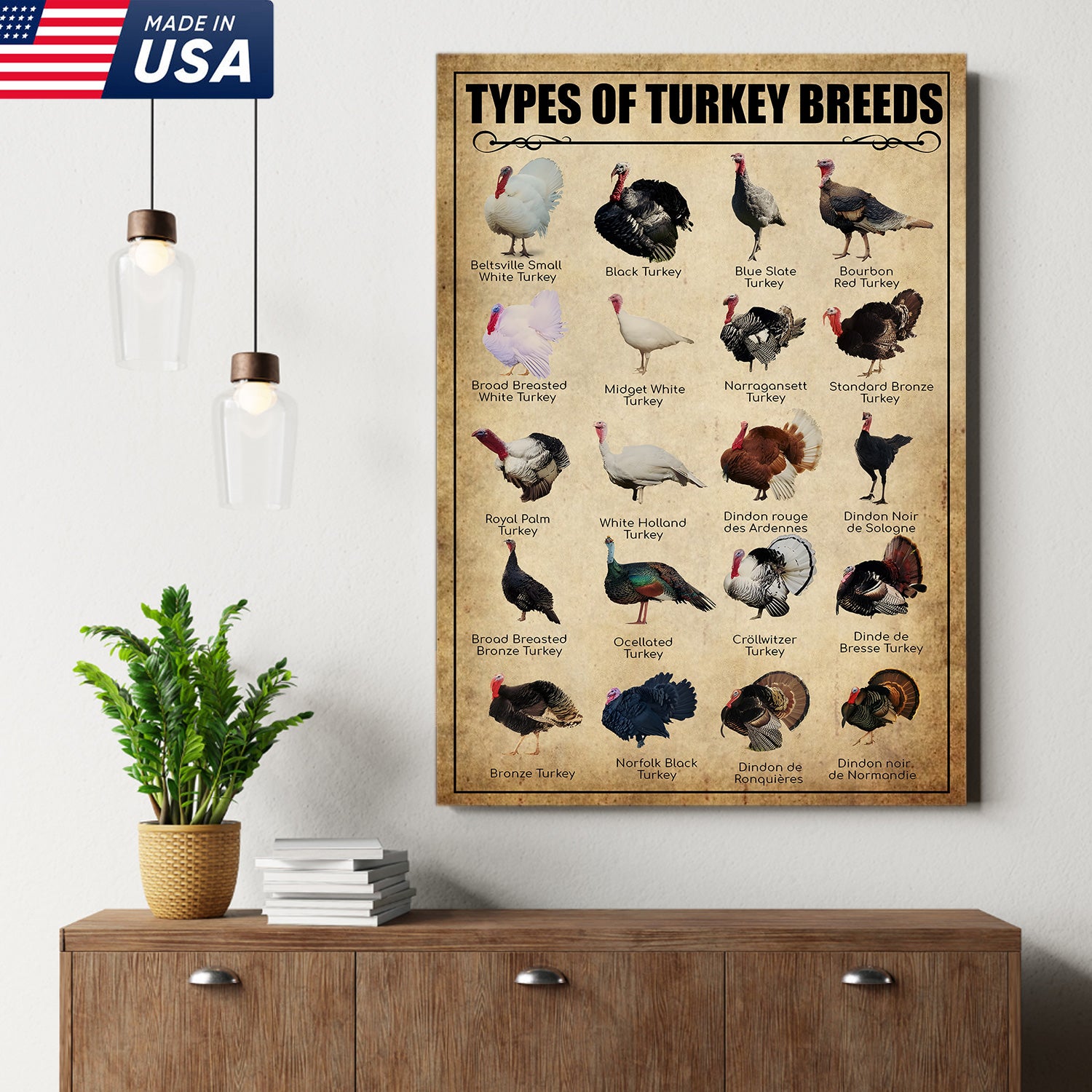 Turkey Breeds Knowlegde Canvas Wall Art – Farmhouse Poultry Guide Print – Rustic Country Decor
