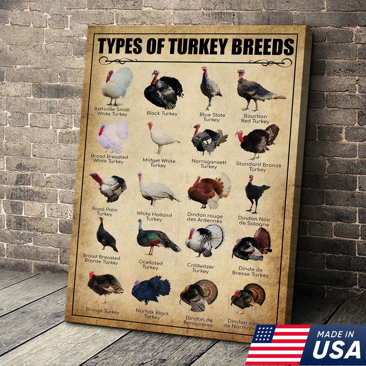 Turkey Breeds Knowlegde Canvas Wall Art – Farmhouse Poultry Guide Print – Rustic Country Decor