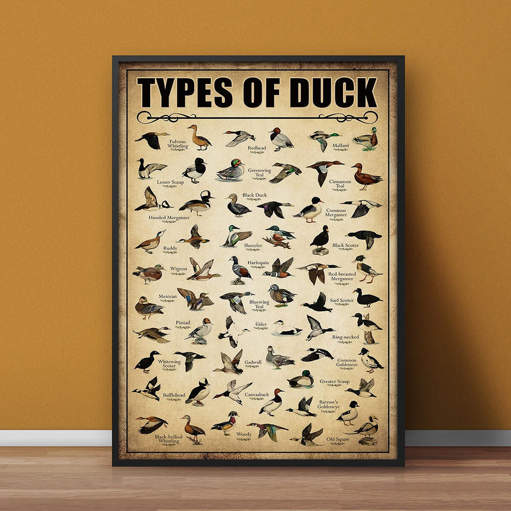 Types of Duck Poster Canvas - Comprehensive Guide for Duck Hunters and Birdwatchers Featuring 30+ Duck Species