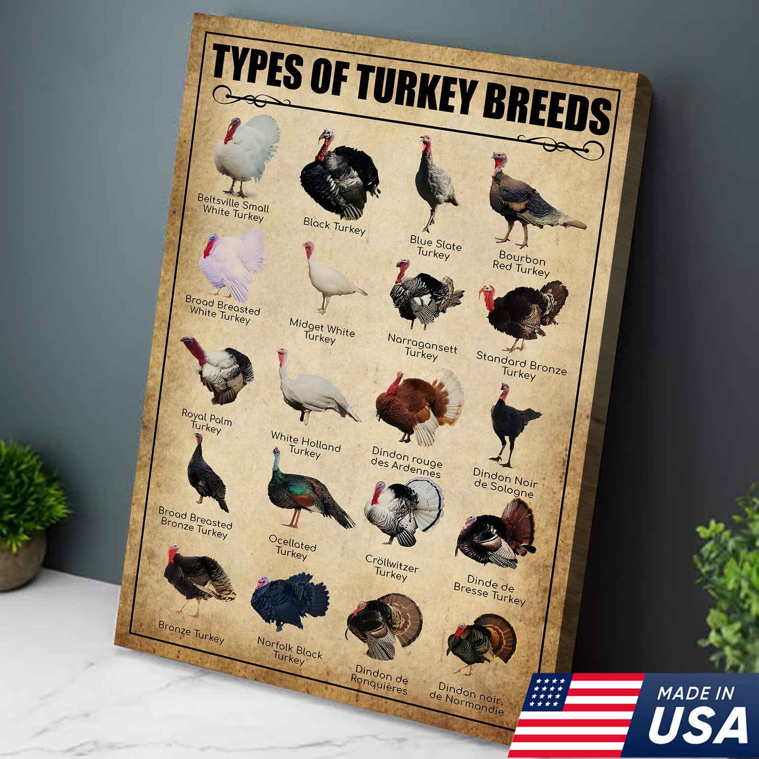 Turkey Breeds Knowlegde Canvas Wall Art – Farmhouse Poultry Guide Print – Rustic Country Decor