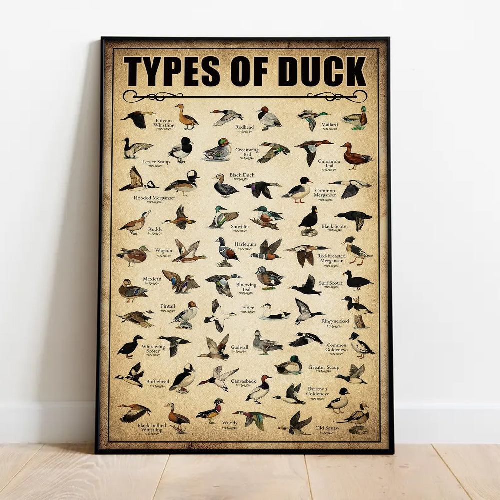 Types of Duck Poster Canvas - Comprehensive Guide for Duck Hunters and Birdwatchers Featuring 30+ Duck Species