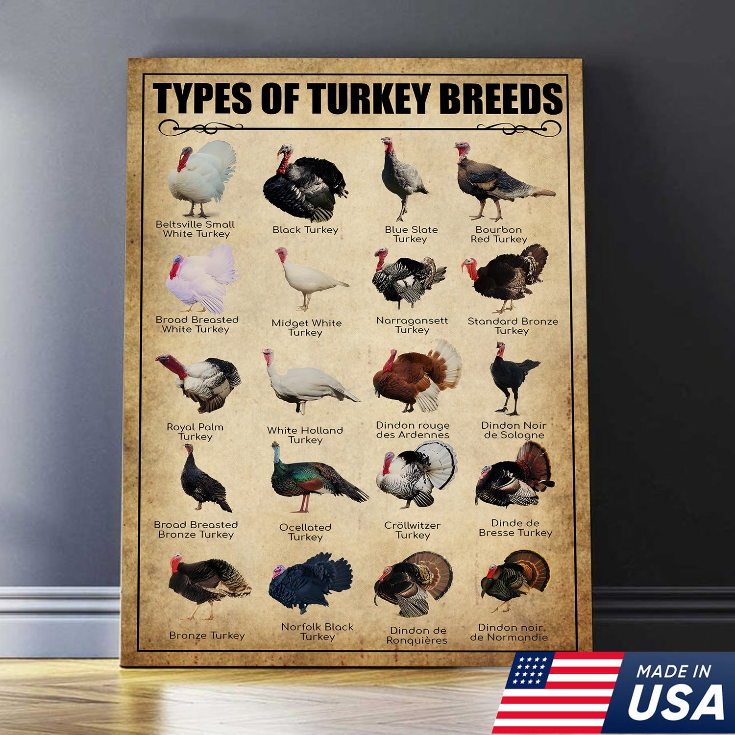 Turkey Breeds Knowlegde Canvas Wall Art – Farmhouse Poultry Guide Print – Rustic Country Decor
