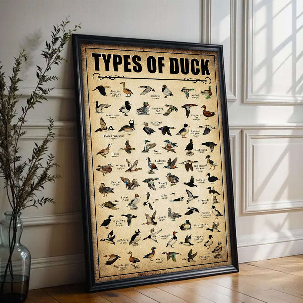 Types of Duck Poster Canvas - Comprehensive Guide for Duck Hunters and Birdwatchers Featuring 30+ Duck Species