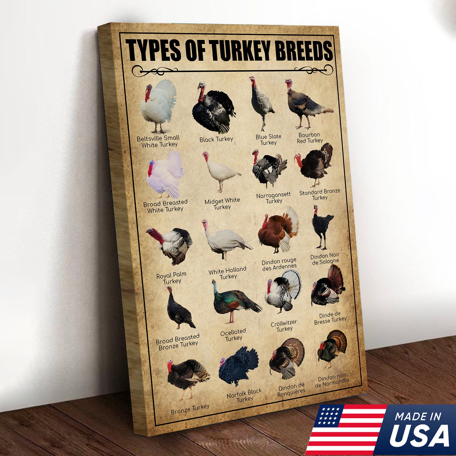 Turkey Breeds Knowlegde Canvas Wall Art – Farmhouse Poultry Guide Print – Rustic Country Decor