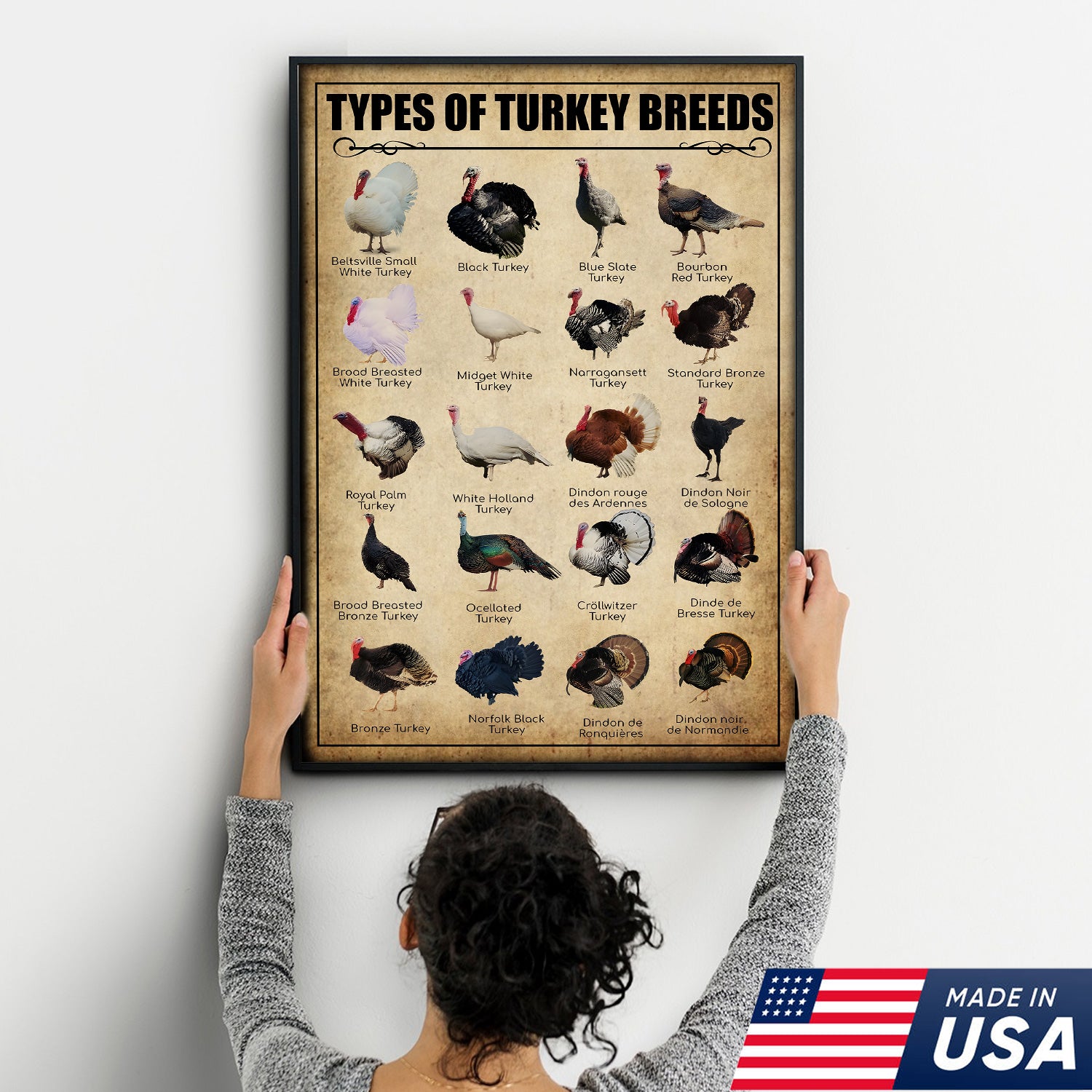 Turkey Breeds Knowlegde Canvas Wall Art – Farmhouse Poultry Guide Print – Rustic Country Decor