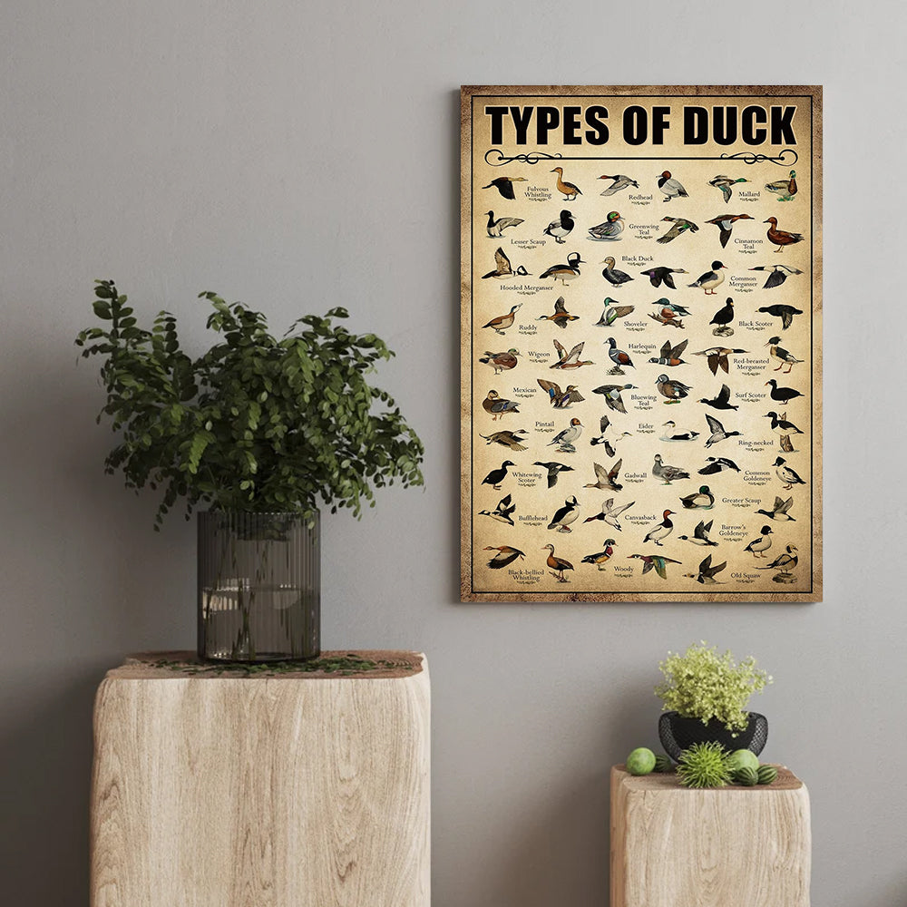 Types of Duck Poster Canvas - Comprehensive Guide for Duck Hunters and Birdwatchers Featuring 30+ Duck Species
