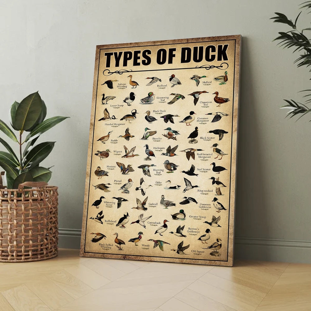 Types of Duck Poster Canvas - Comprehensive Guide for Duck Hunters and Birdwatchers Featuring 30+ Duck Species