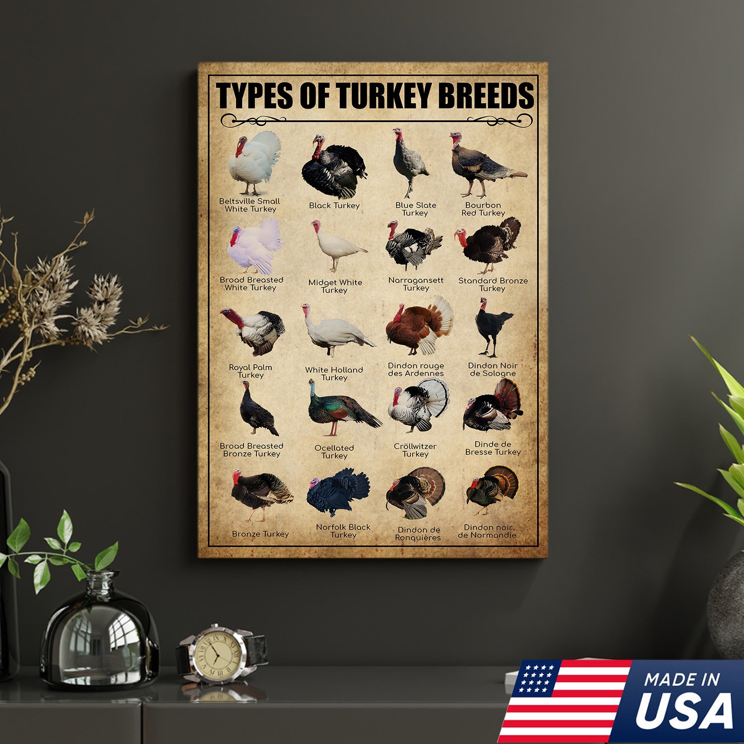 Turkey Breeds Knowlegde Canvas Wall Art – Farmhouse Poultry Guide Print – Rustic Country Decor