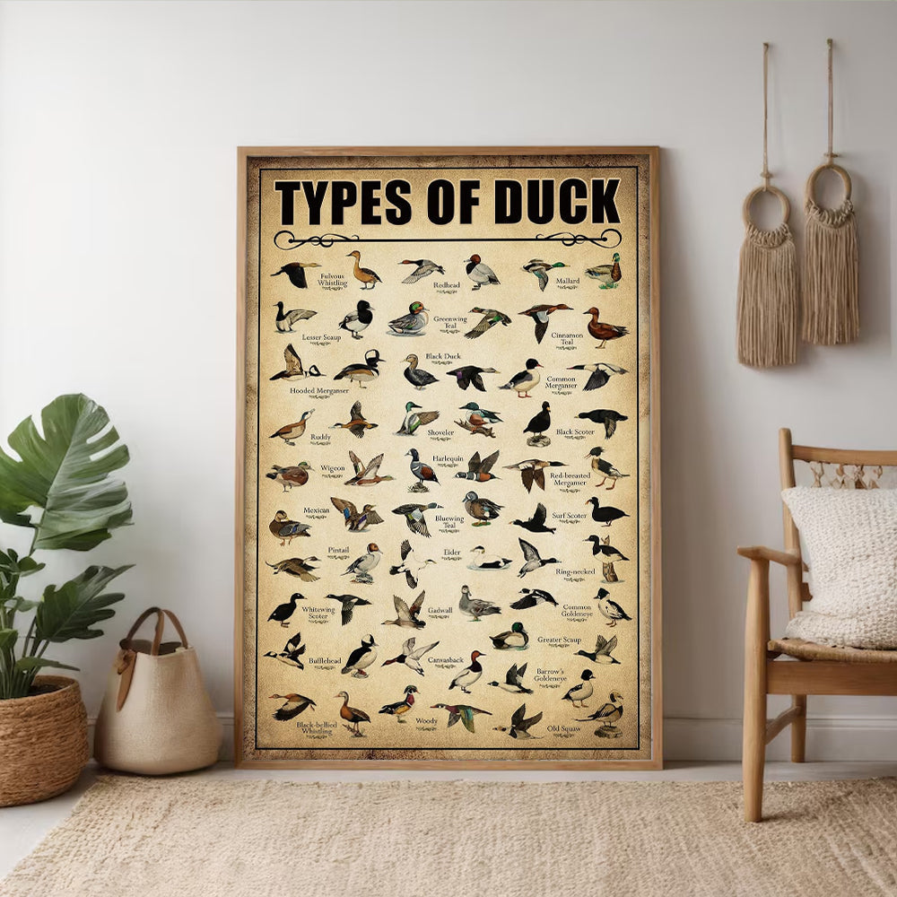 Types of Duck Poster Canvas - Comprehensive Guide for Duck Hunters and Birdwatchers Featuring 30+ Duck Species