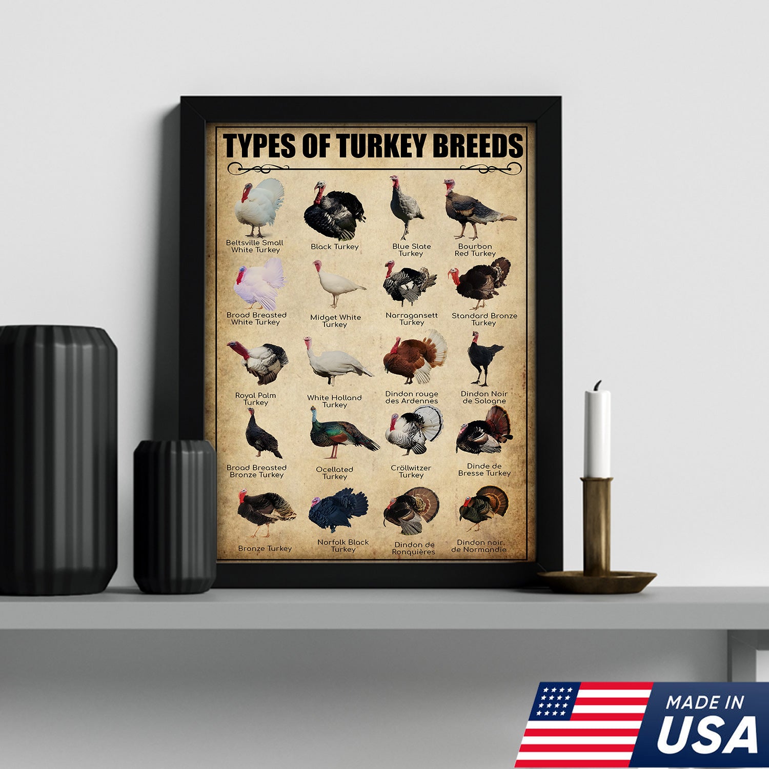 Turkey Breeds Knowlegde Canvas Wall Art – Farmhouse Poultry Guide Print – Rustic Country Decor