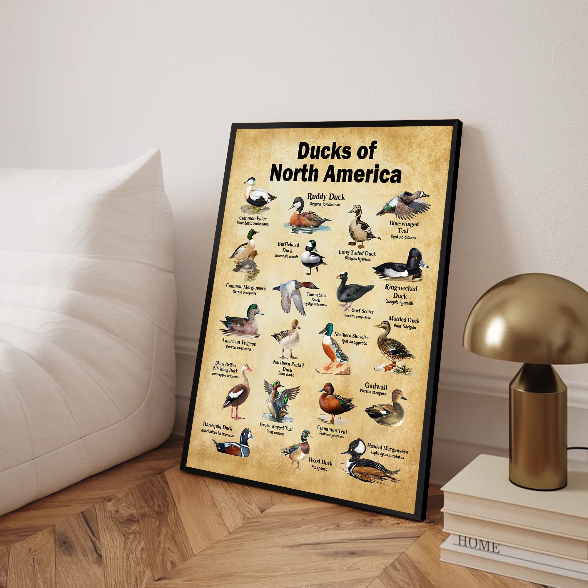 Ducks of North America Canvas – Educational Wall Art for Hunters & Nature Lovers