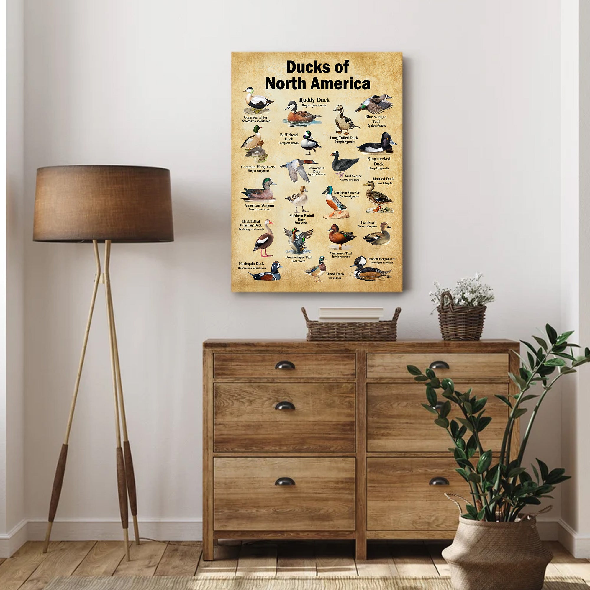 Ducks of North America Canvas – Educational Wall Art for Hunters & Nature Lovers