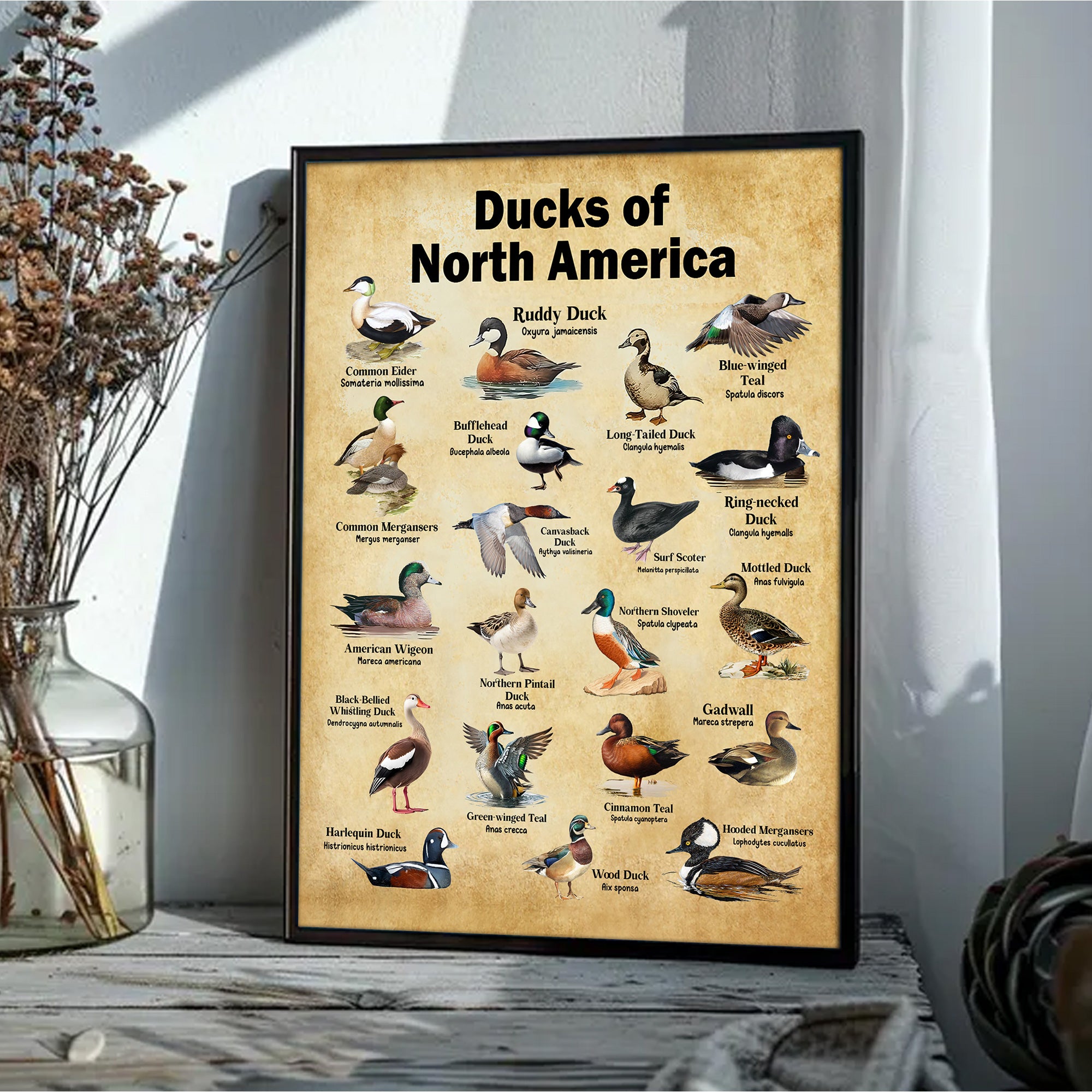 Ducks of North America Canvas – Educational Wall Art for Hunters & Nature Lovers