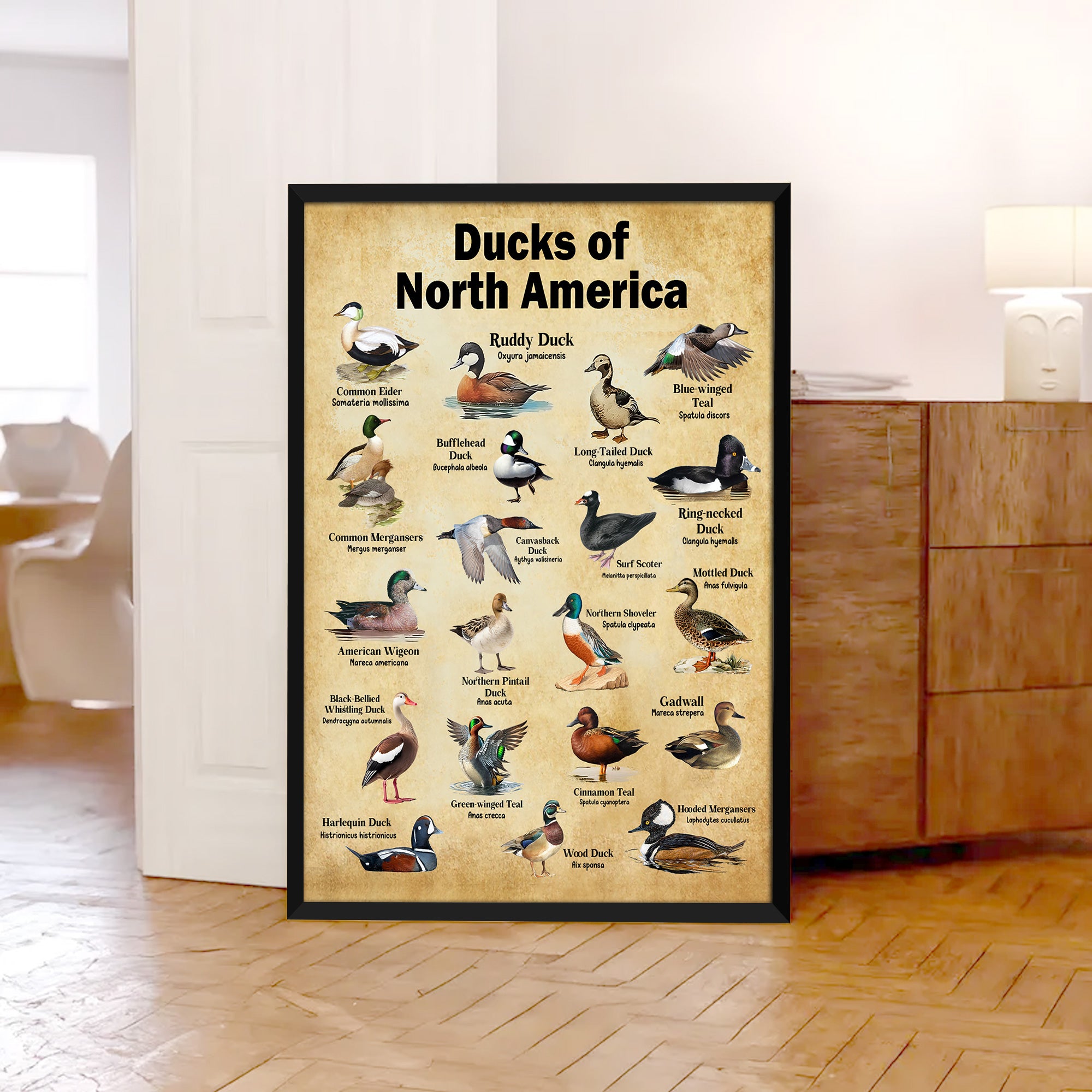 Ducks of North America Canvas – Educational Wall Art for Hunters & Nature Lovers