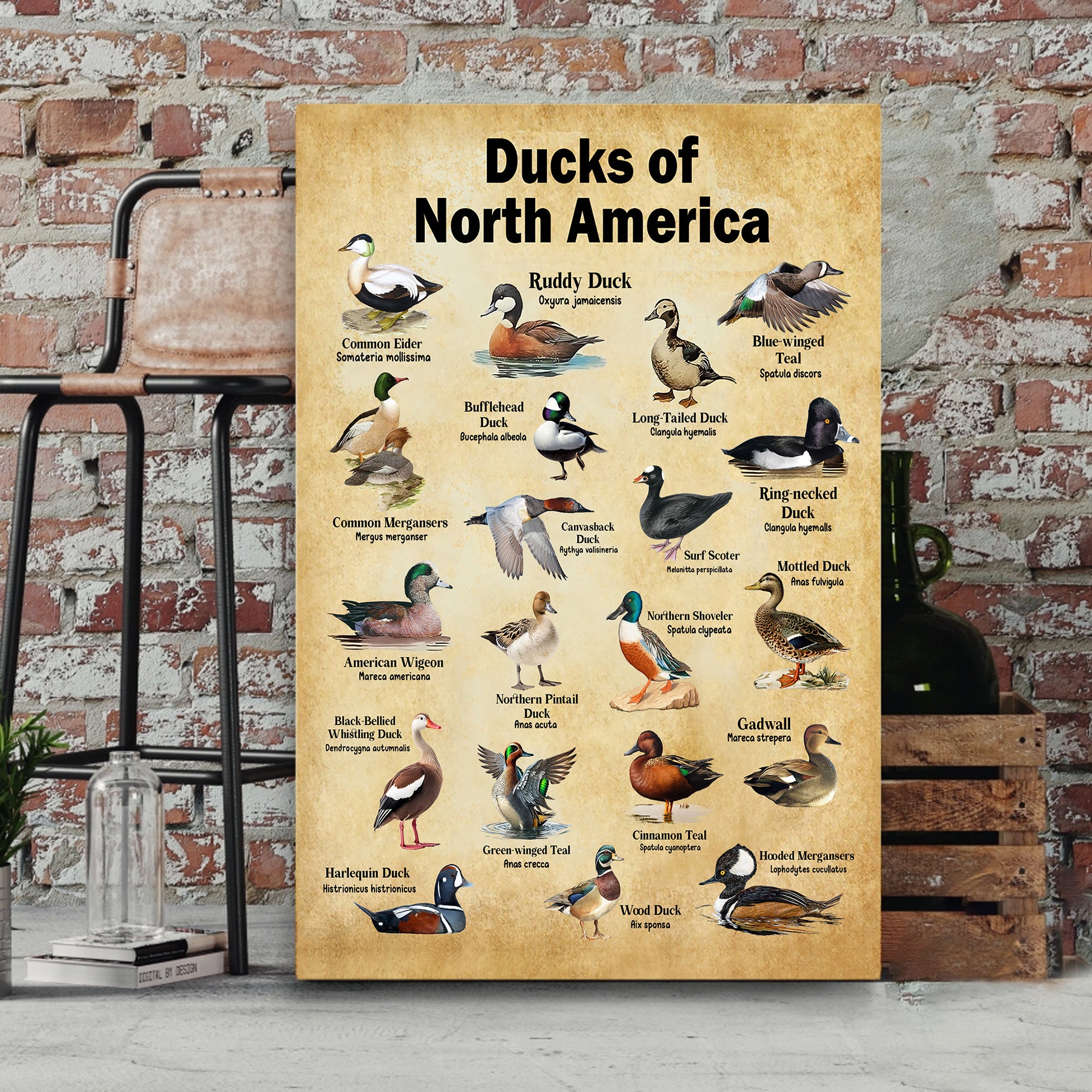 Ducks of North America Canvas – Educational Wall Art for Hunters & Nature Lovers