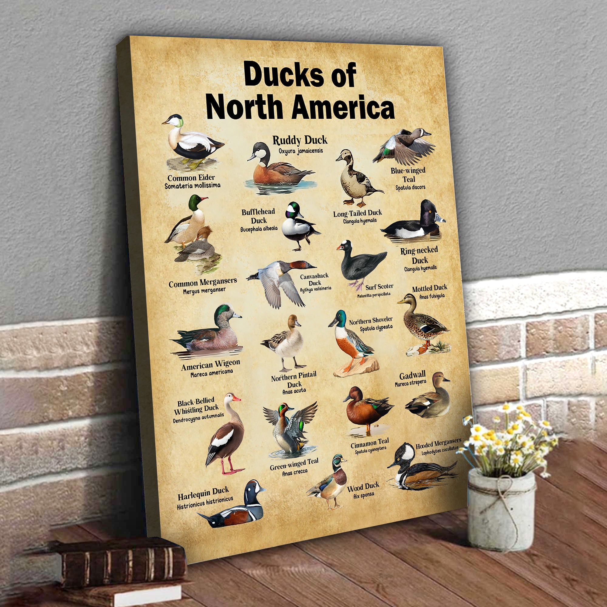 Ducks of North America Canvas – Educational Wall Art for Hunters & Nature Lovers