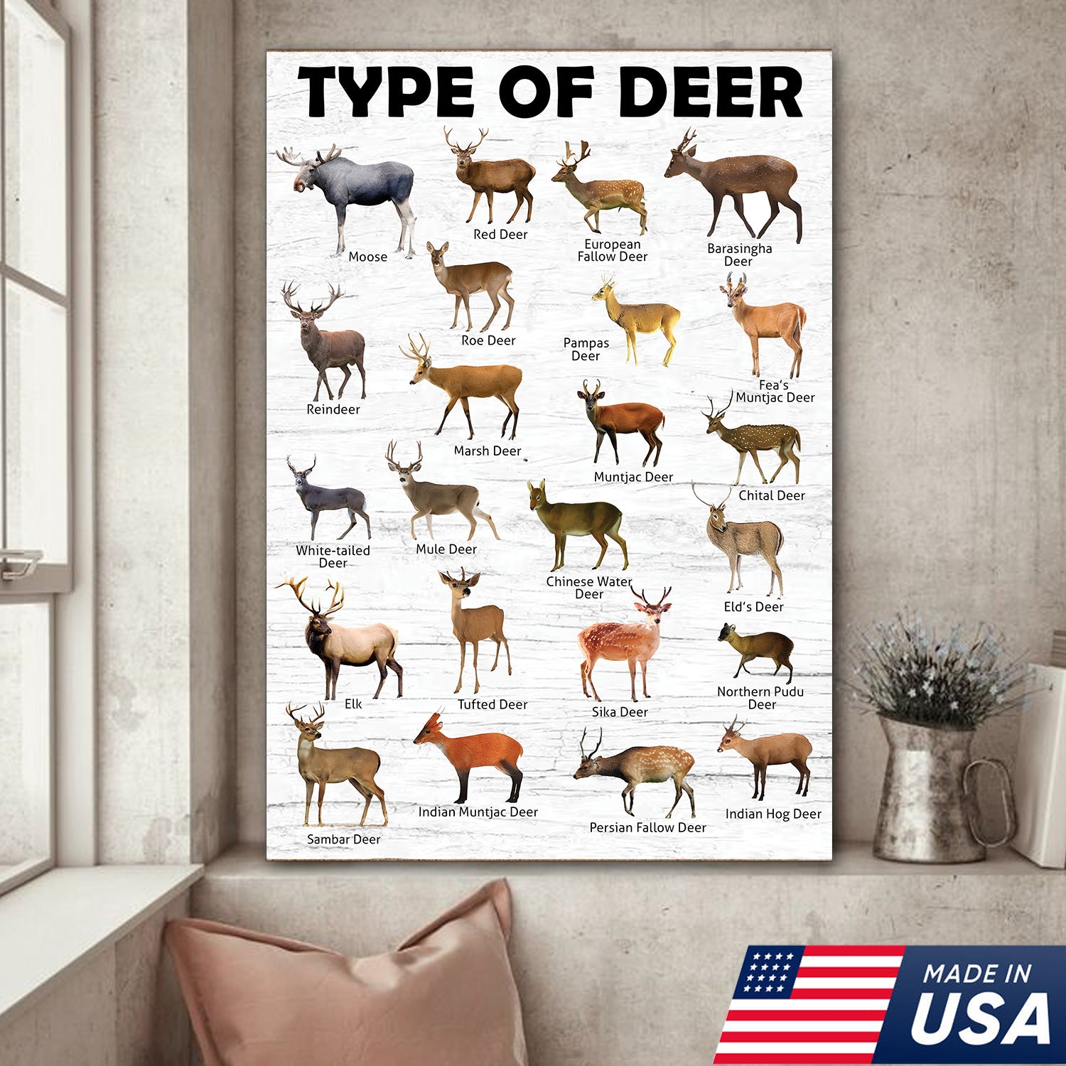 Deer Species Wall Art - Wildlife Educational Canvas - Hunting Lodge Decoration