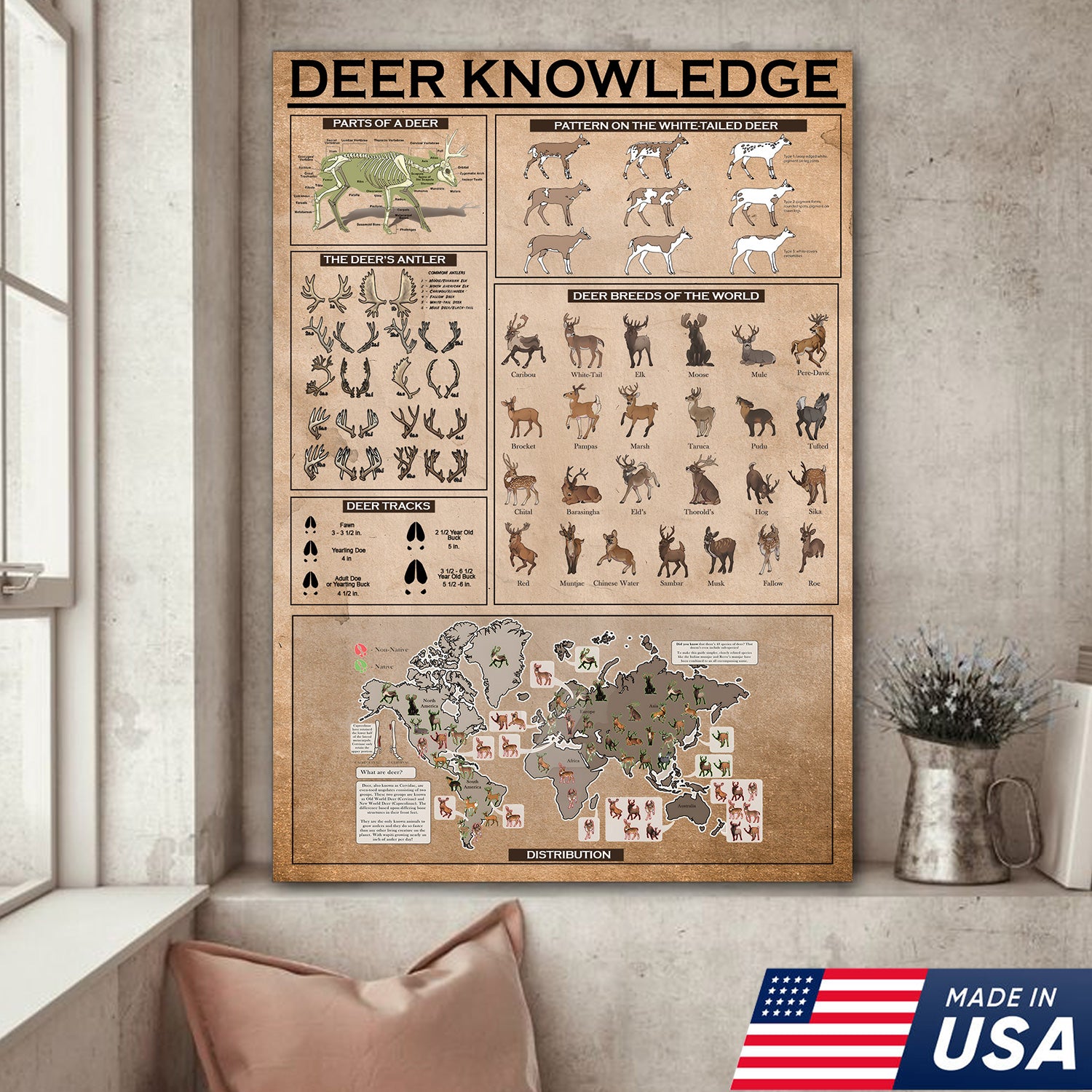 Deer Knowledge Canvas – Anatomy, Antlers, Tracks & Breeds Educational Wall Art - Hunting Lodge Educational Canvas Decor