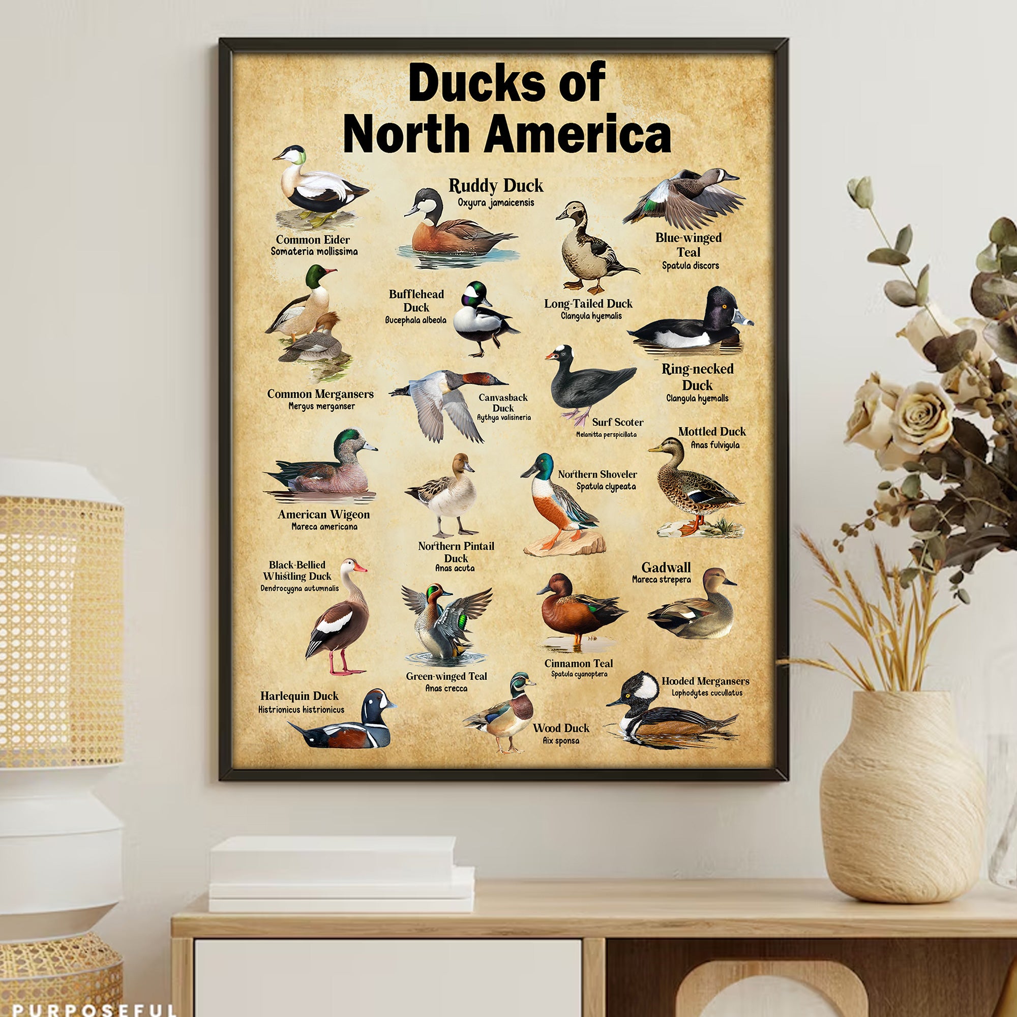 Ducks of North America Canvas – Educational Wall Art for Hunters & Nature Lovers