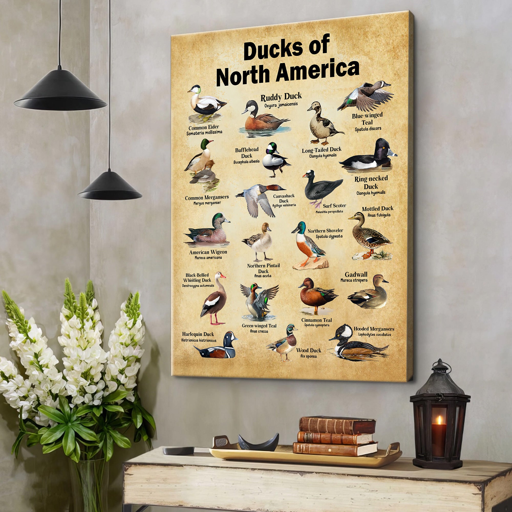 Ducks of North America Canvas – Educational Wall Art for Hunters & Nature Lovers