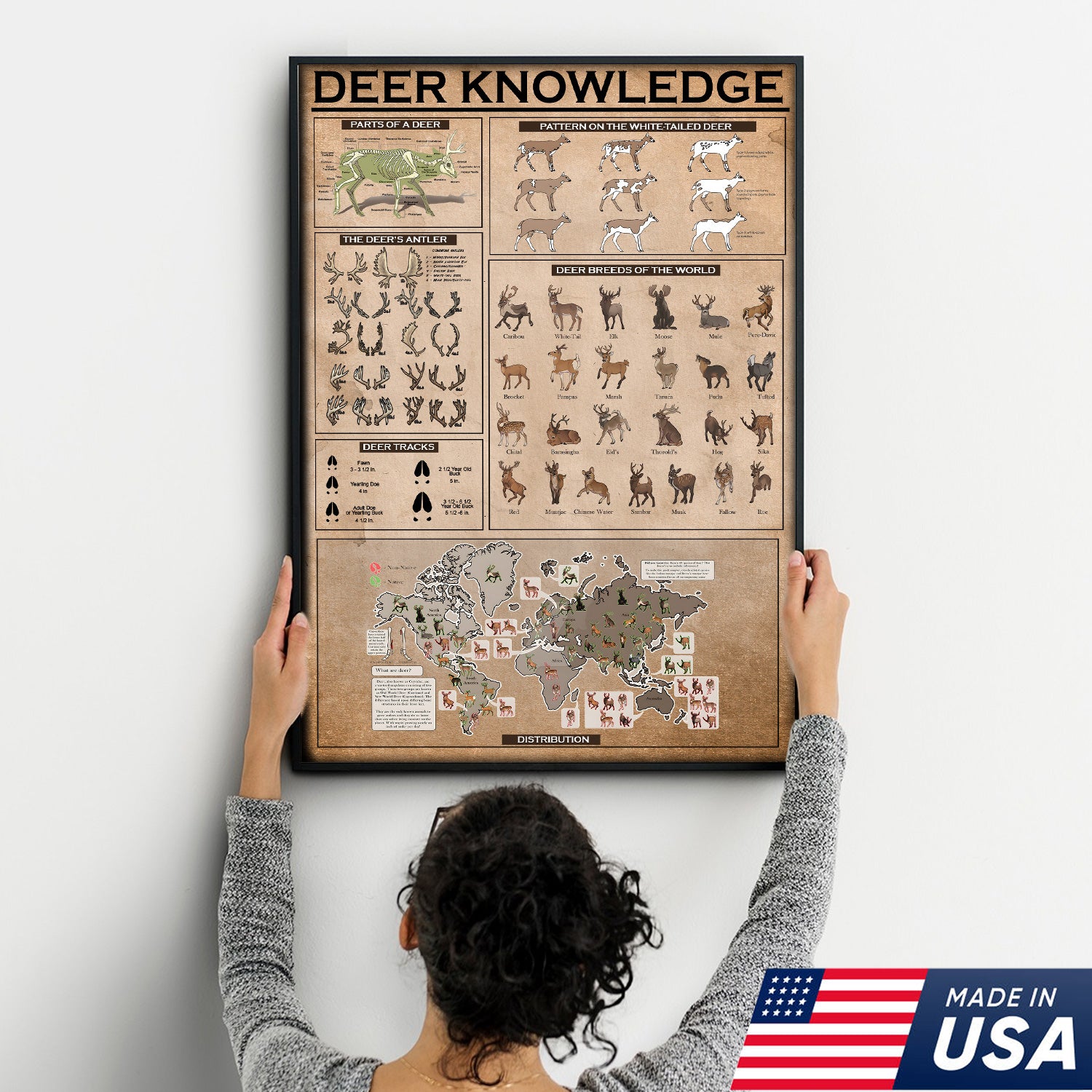Deer Knowledge Canvas – Anatomy, Antlers, Tracks & Breeds Educational Wall Art - Hunting Lodge Educational Canvas Decor