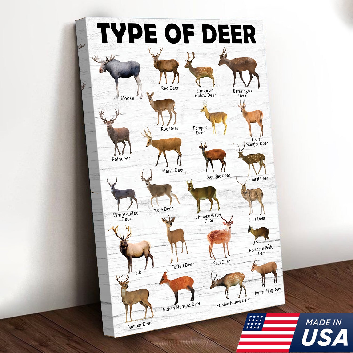 Deer Species Wall Art - Wildlife Educational Canvas - Hunting Lodge Decoration