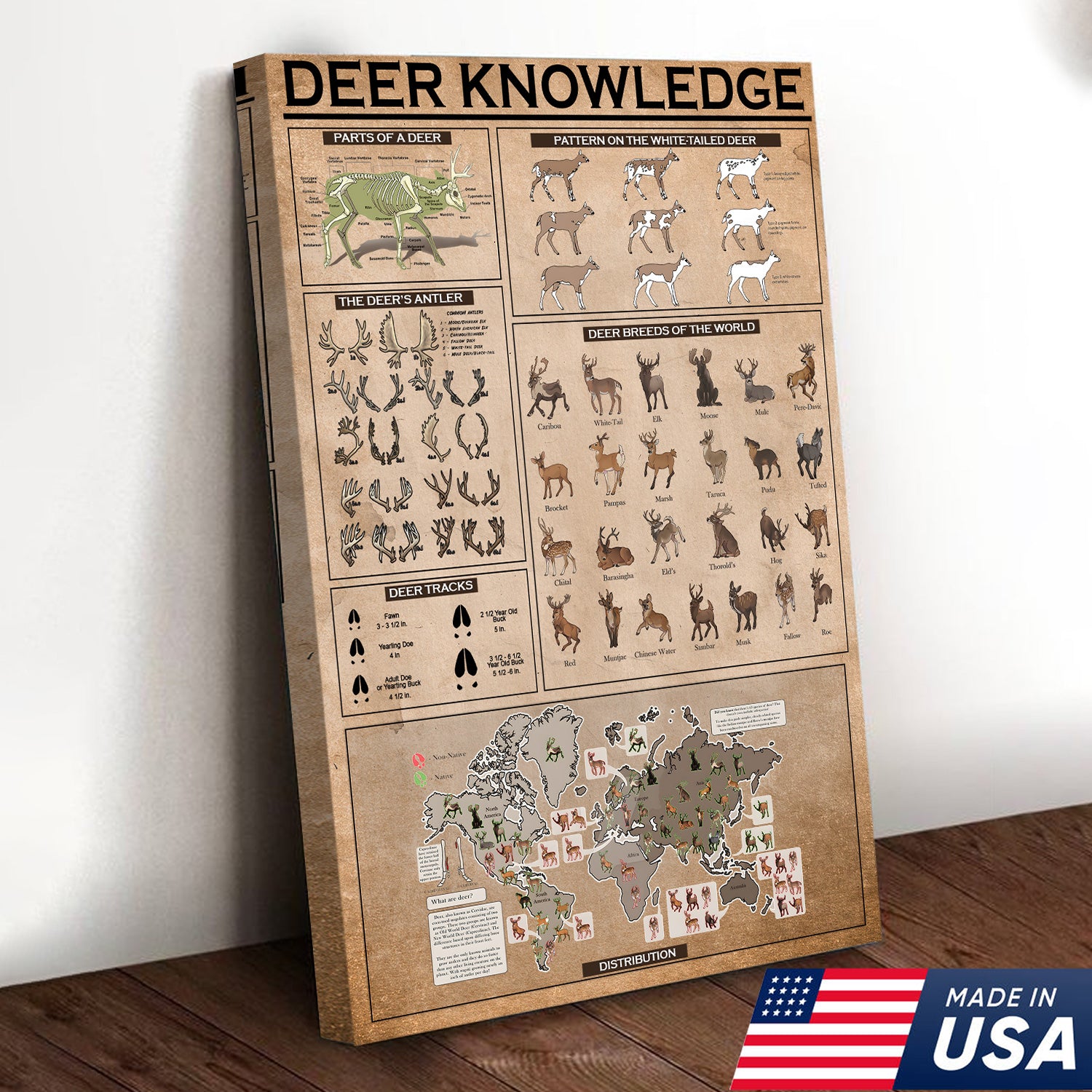 Deer Knowledge Canvas – Anatomy, Antlers, Tracks & Breeds Educational Wall Art - Hunting Lodge Educational Canvas Decor