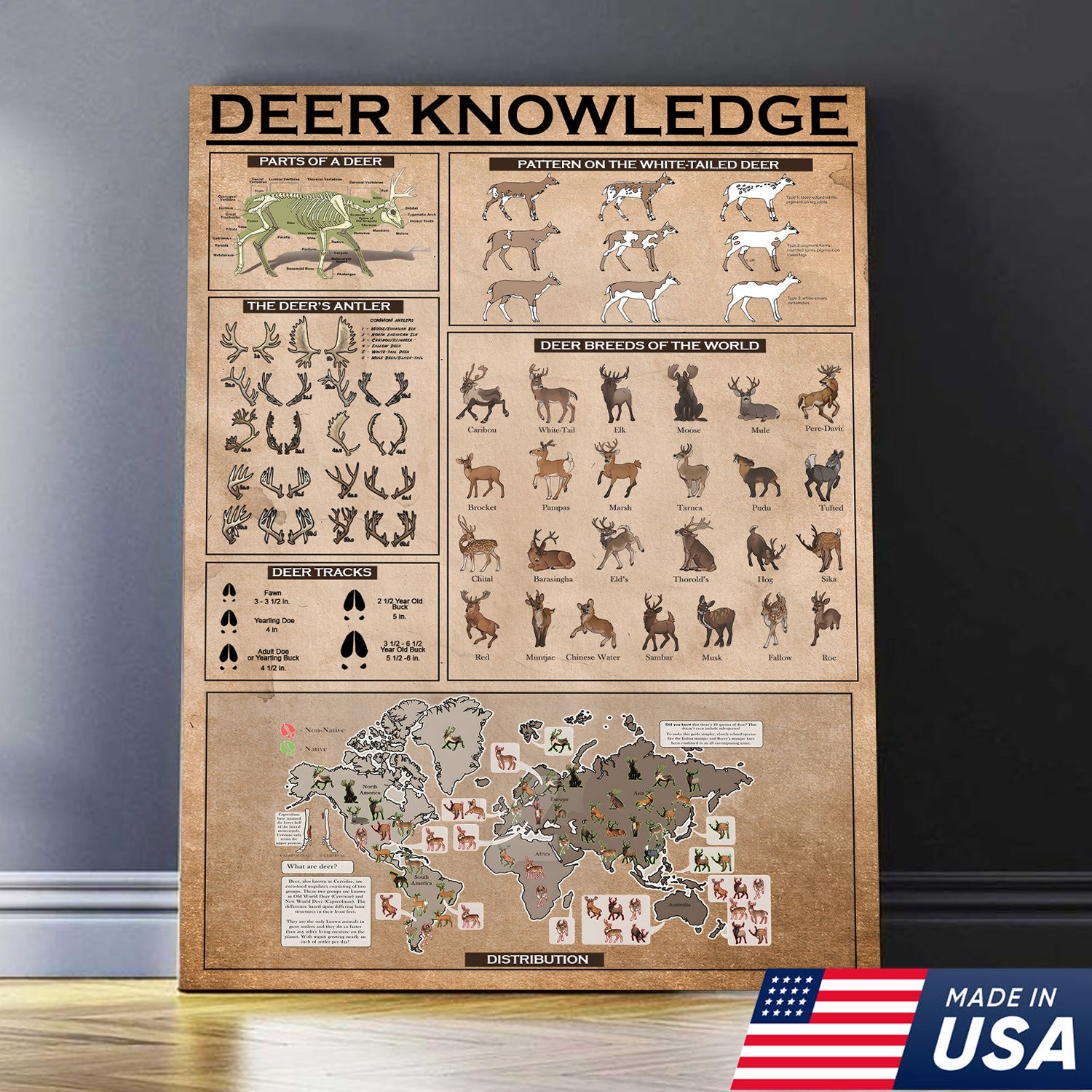 Deer Knowledge Canvas – Anatomy, Antlers, Tracks & Breeds Educational Wall Art - Hunting Lodge Educational Canvas Decor