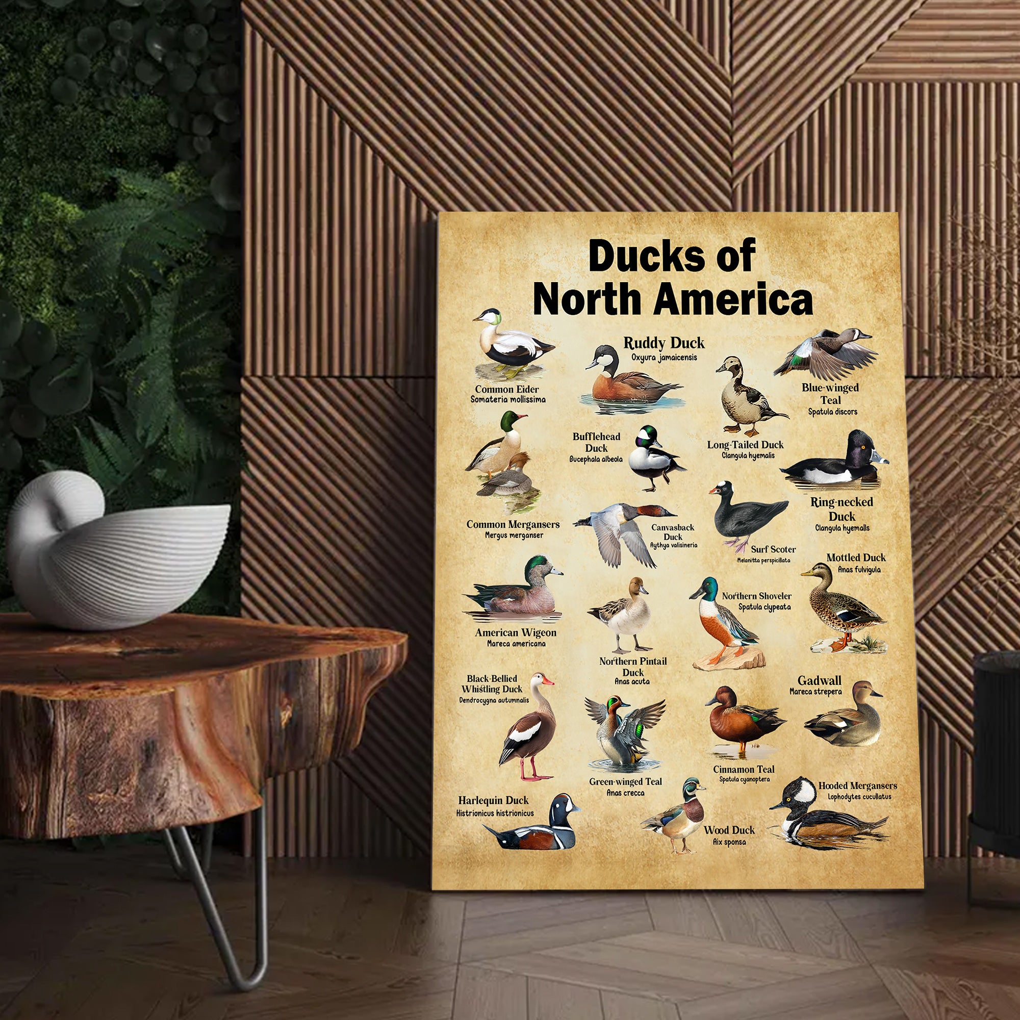 Ducks of North America Canvas – Educational Wall Art for Hunters & Nature Lovers