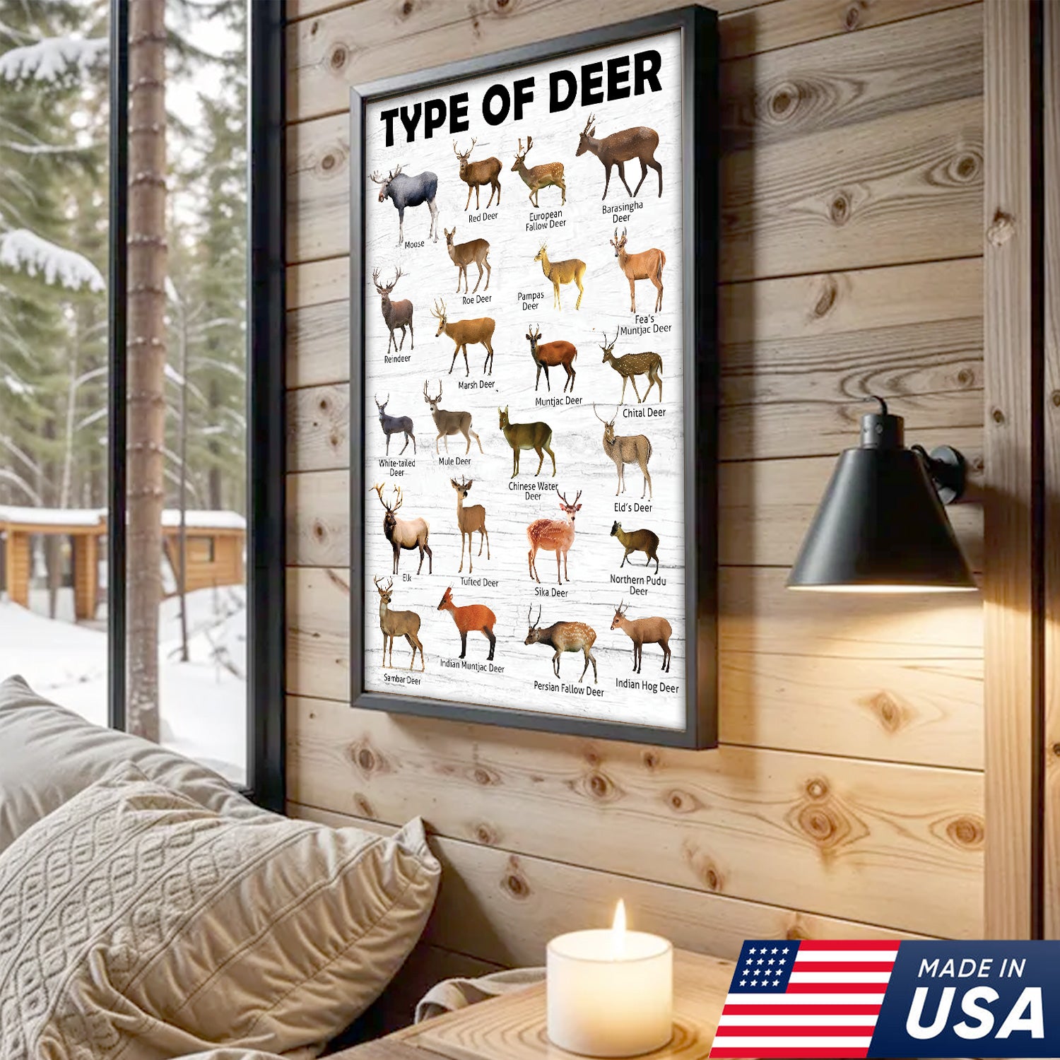 Deer Species Wall Art - Wildlife Educational Canvas - Hunting Lodge Decoration