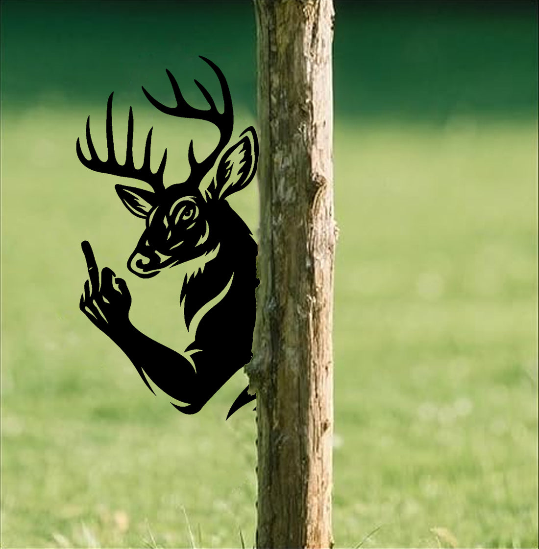 GENERAL:YS2.jpg