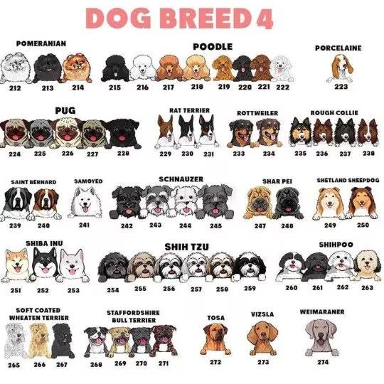 Baby Beanie Protected By Custom Dog Name, Personalized Baby Beanies with Name Kids for Baby Kids Adult, Leather Patch Beanie, Newborn Gift