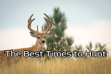 The Best Times to Hunt Deer, Wild Boar, and Turkey: Seasonal Strategy Guide