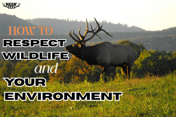 Hunting Ethics: How to Respect Wildlife and Your Environment