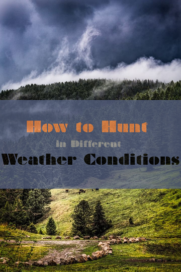 How to Hunt in Different Weather Conditions: Adapting Your Strategy