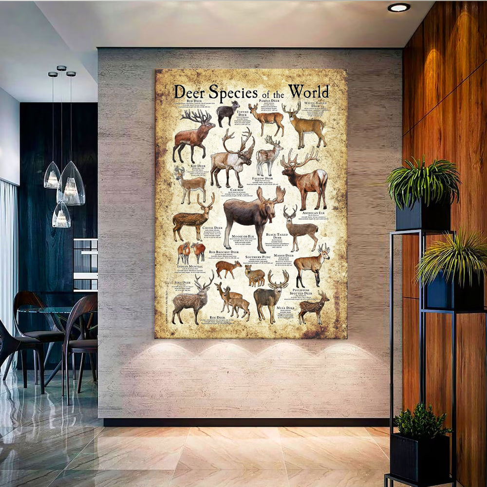 Deer Species of the World Poster Canvas - Guide for Hunting Enthusiasts, Featuring 20+ Deer Species and Their Unique Characteristics