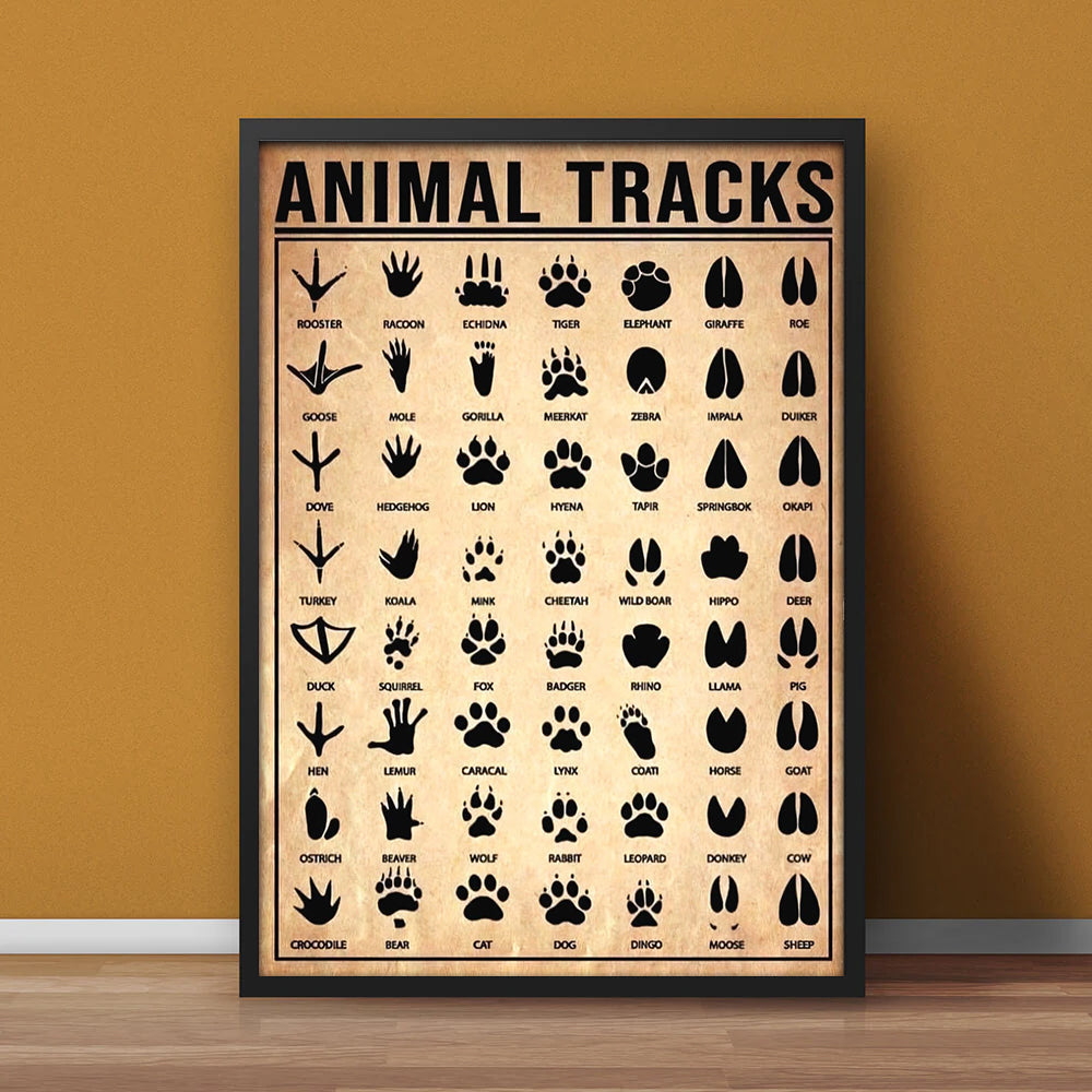 Animal Tracks Poster Canvas - Comprehensive Guide for Hunters, Wildlife Enthusiasts, Outdoor Lovers Wall Art Outdoorsy Wall Decor