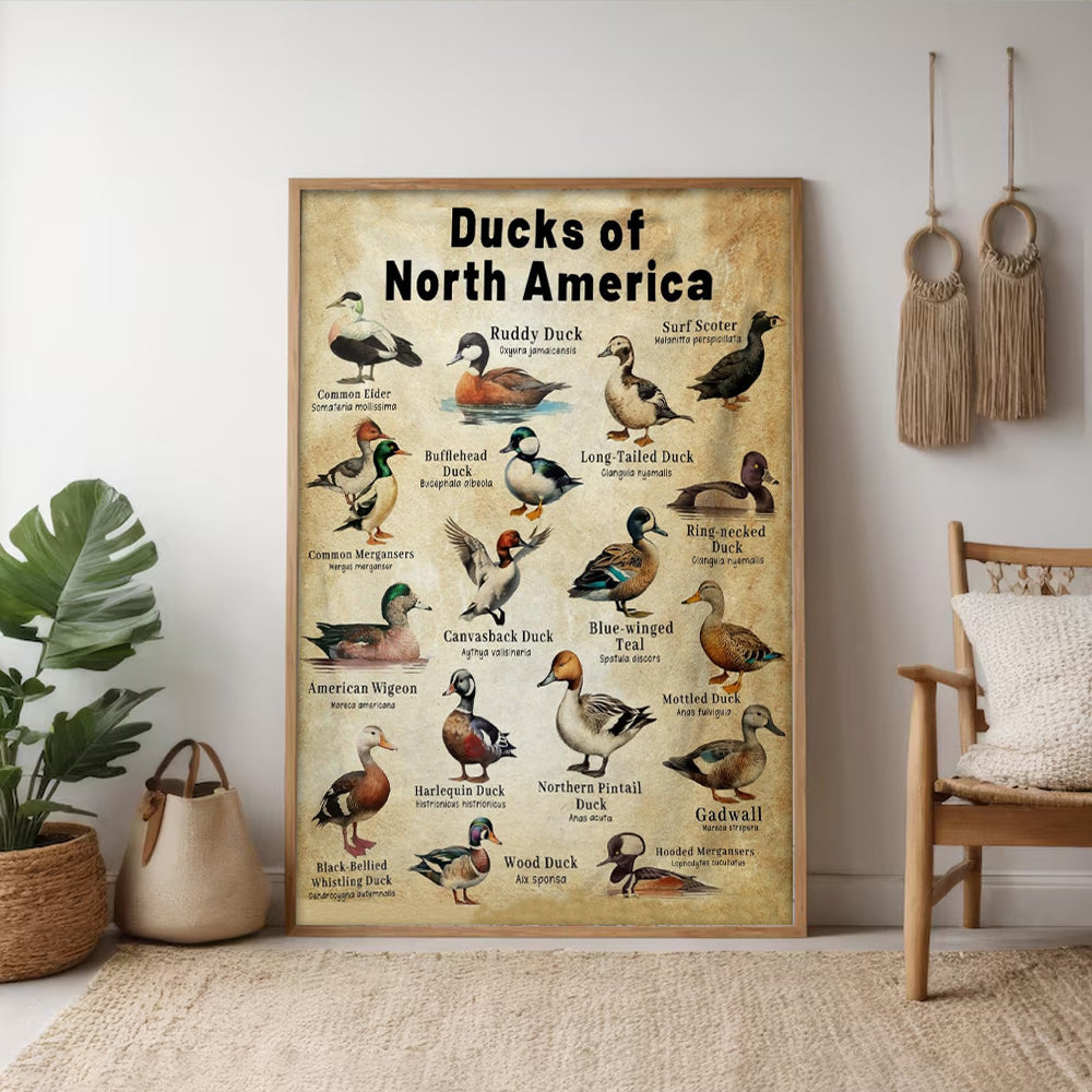 Waterfowl Species Guide Poster – Duck Hunting Gift for Men Who Love Nature and the Outdoors