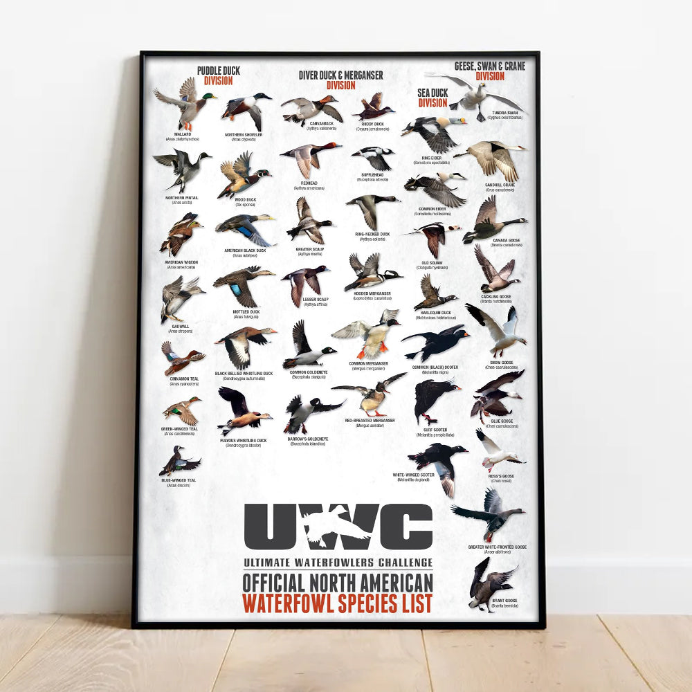 North American Waterfowl Species Poster Canvas – Duck & Goose Identification Chart - Waterfowl Poster for Hunters