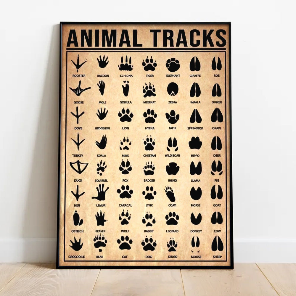 Animal Tracks Poster Canvas - Comprehensive Guide for Hunters, Wildlife Enthusiasts, Outdoor Lovers Wall Art Outdoorsy Wall Decor