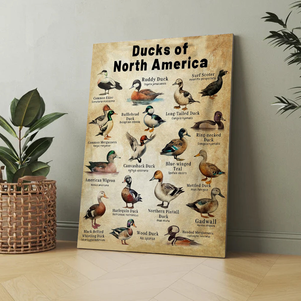 Waterfowl Species Guide Poster – Duck Hunting Gift for Men Who Love Nature and the Outdoors