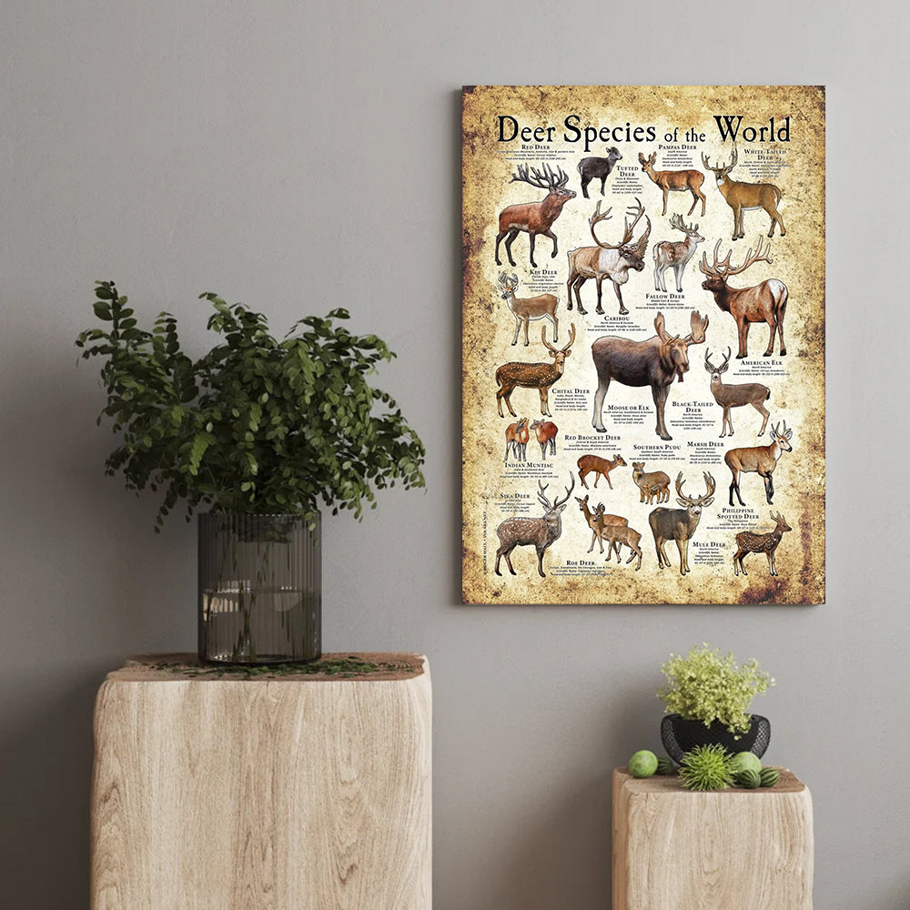 Deer Species of the World Poster Canvas - Guide for Hunting Enthusiasts, Featuring 20+ Deer Species and Their Unique Characteristics