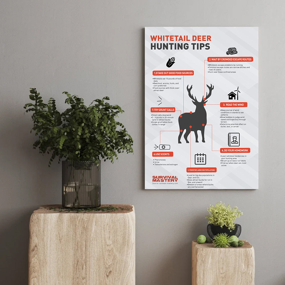Whitetail Deer Hunting Tips Canvas Poster – Perfect Decor for Hunters – Boost Your Success in the Field