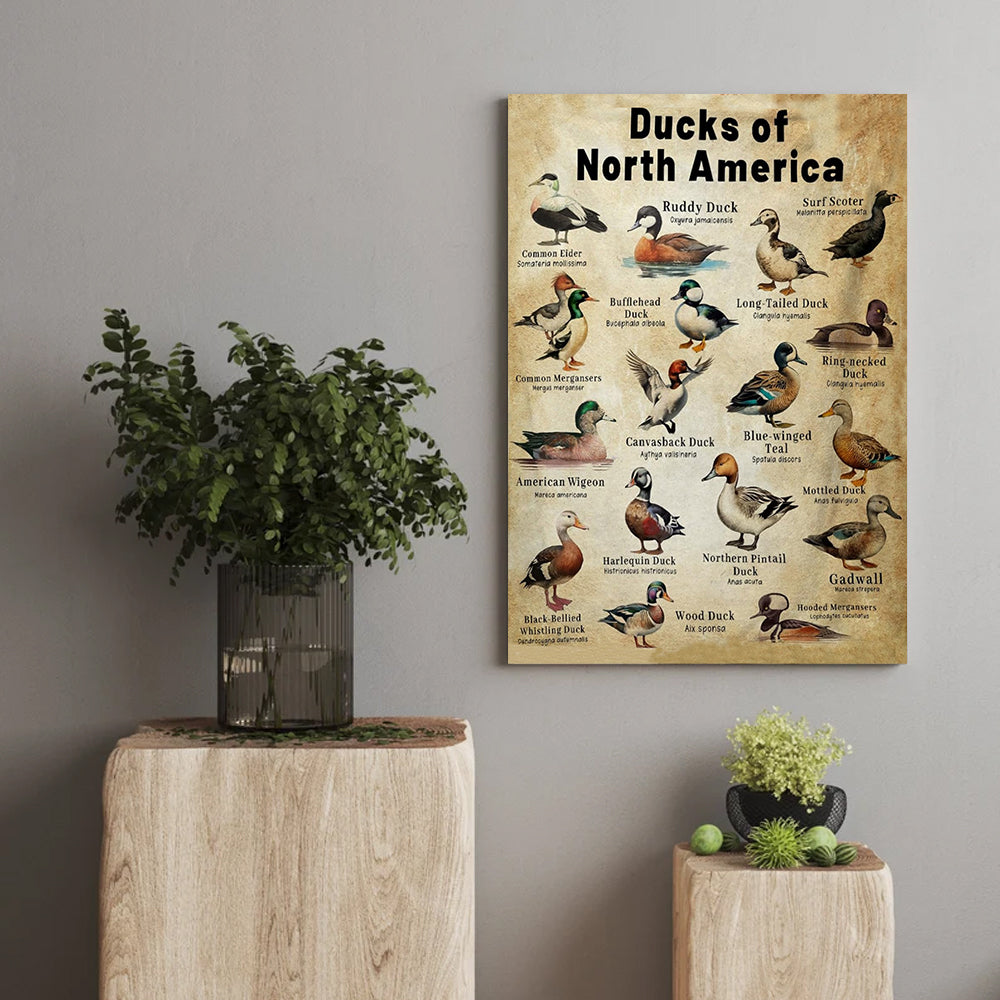Waterfowl Species Guide Poster – Duck Hunting Gift for Men Who Love Nature and the Outdoors