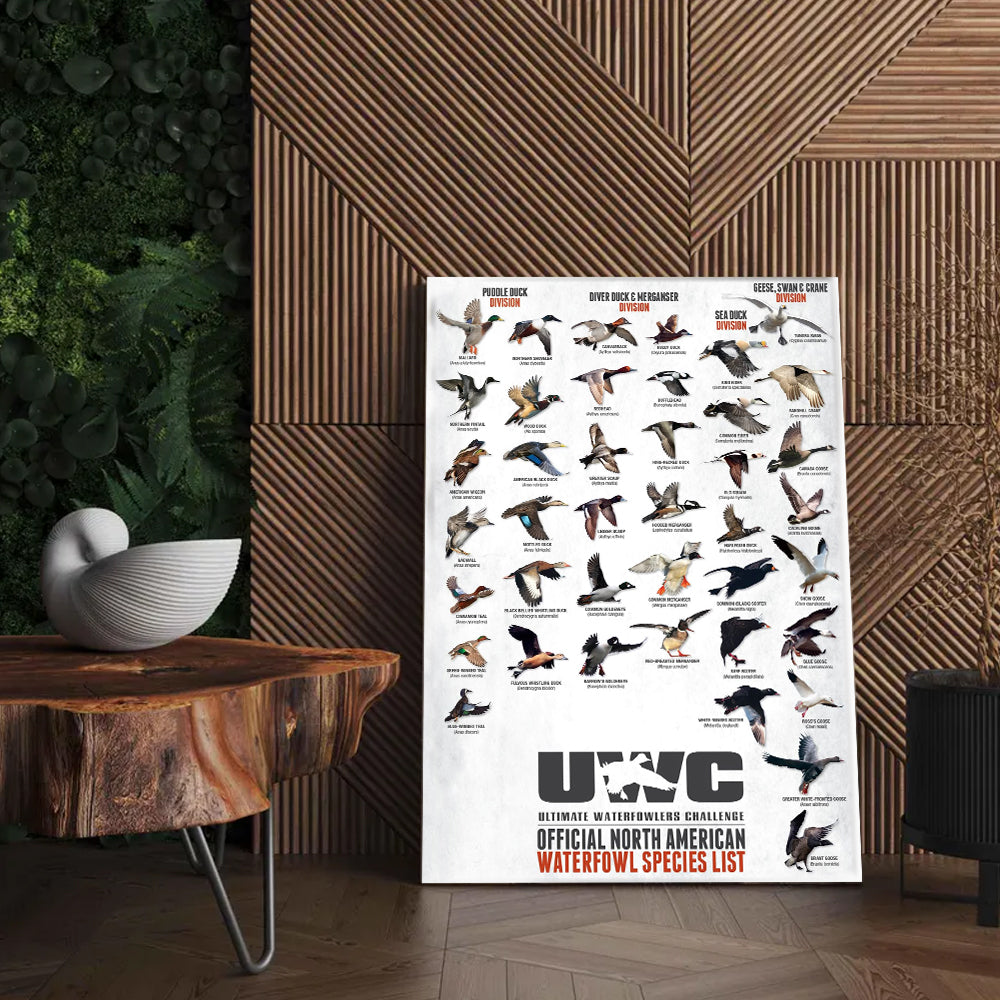 North American Waterfowl Species Poster Canvas – Duck & Goose Identification Chart - Waterfowl Poster for Hunters