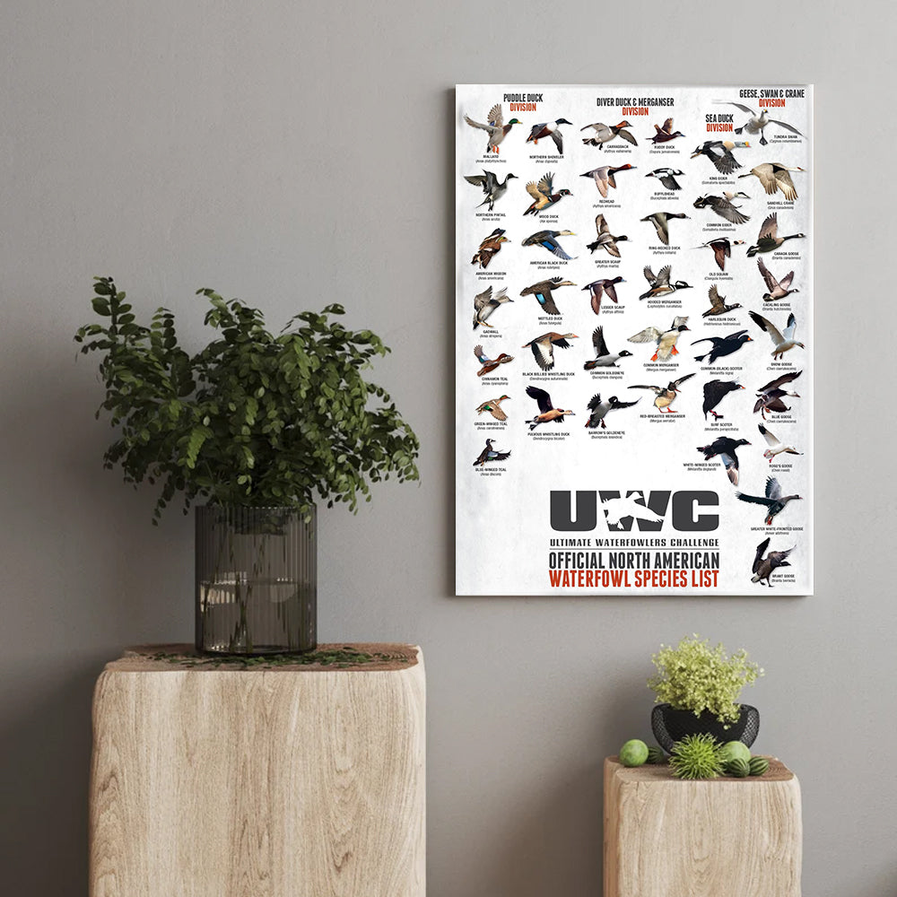 North American Waterfowl Species Poster Canvas – Duck & Goose Identification Chart - Waterfowl Poster for Hunters