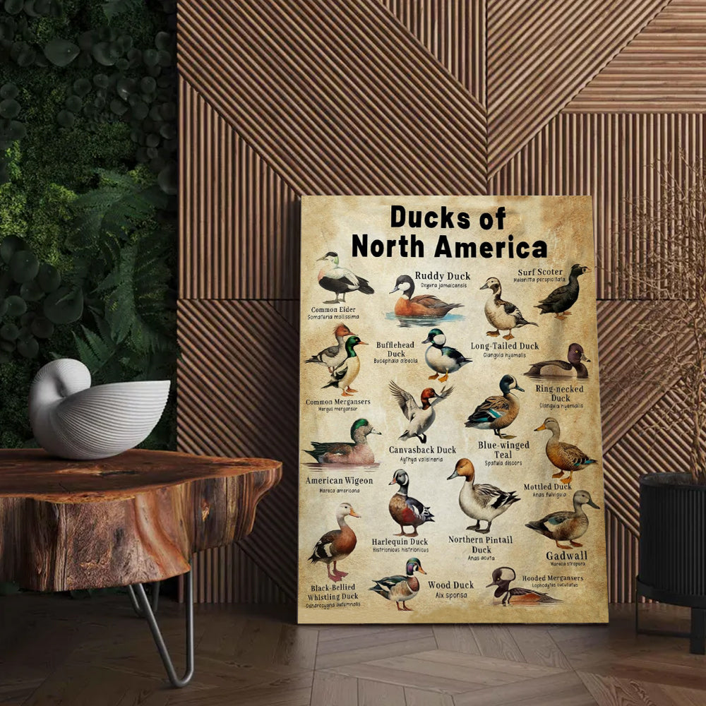 Waterfowl Species Guide Poster – Duck Hunting Gift for Men Who Love Nature and the Outdoors