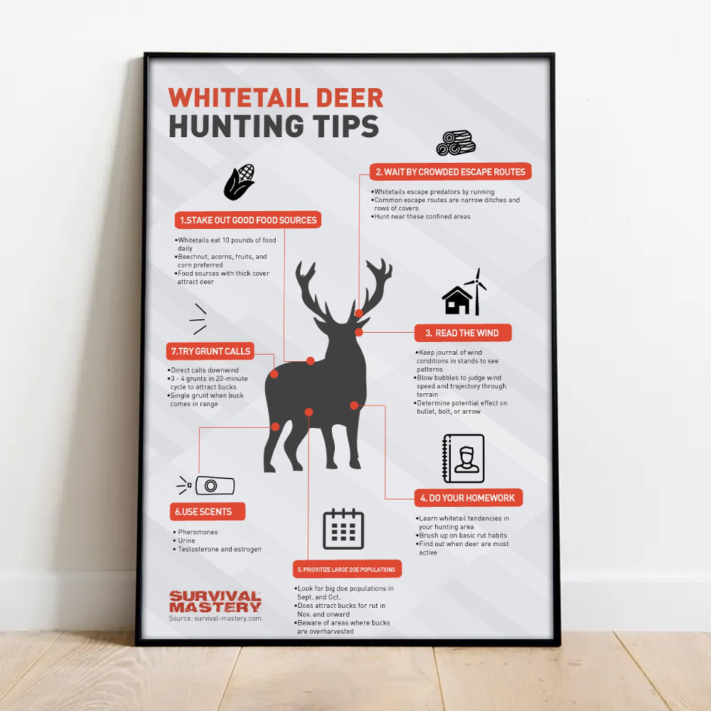 Whitetail Deer Hunting Tips Canvas Poster – Perfect Decor for Hunters – Boost Your Success in the Field